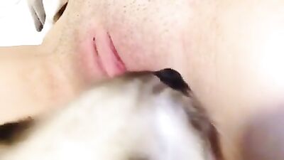 Slender Sissi Satisfies Feline Friends Cravings