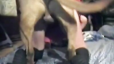 Classic Dog Sex