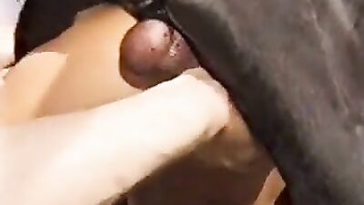 Helping the Wife feel Animalls Cum