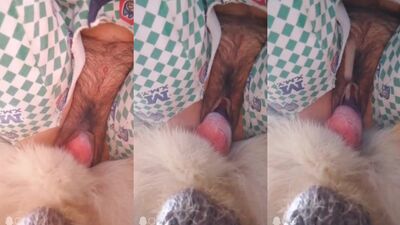 Asian girl enjoying dog cock