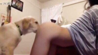 Asian Licked Clean By Dog on webcam