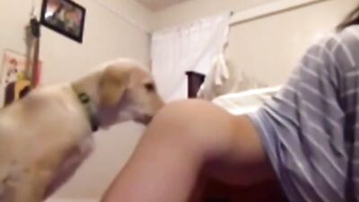 Asian Licked Clean By Dog on webcam