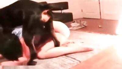 Dog Addict 8