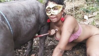 Alison friend sucking boar HD