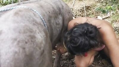 Alison friend sucking boar HD