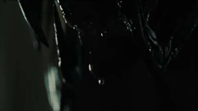 Alien vs. Predator