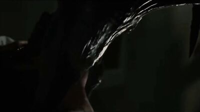 Alien vs. Predator