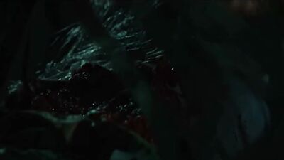 Alien vs. Predator