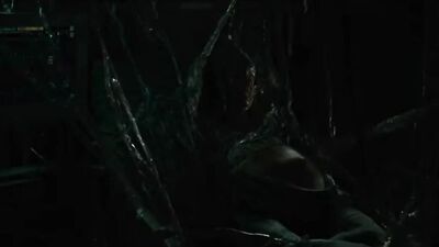 Alien vs. Predator