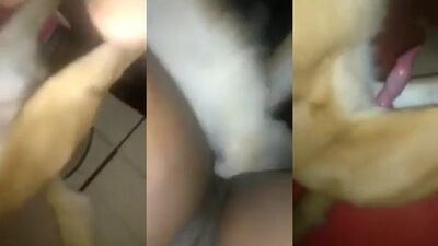 Lonely Vixen Licks And Takes It From Hung Dog