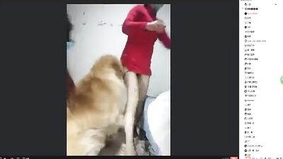 Female anchor and dog sequel