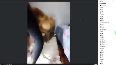 Female anchor and dog sequel