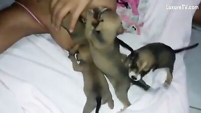 female dog feeding