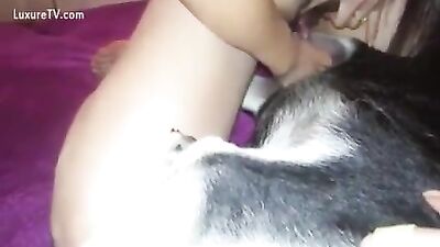 slut day dog