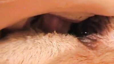 girl vagina dog