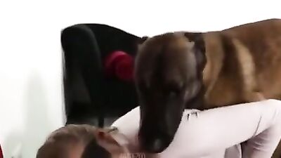 slam