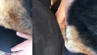 Christys Kitty Conquest: Kings Thick Load Swallowed