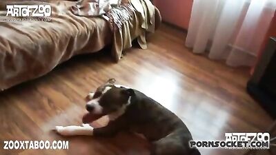 Bilara Creams Tight Holes Devoured by Eager Canines