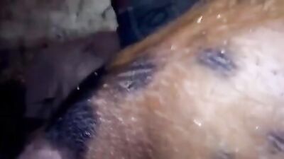 Saucy Sow Sisters Slobber & Satisfy Furry Friends