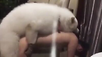 Busty Beauty Takes Two Cocks & A Dog Deep