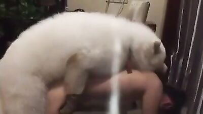 Busty Beauty Takes Two Cocks & A Dog Deep