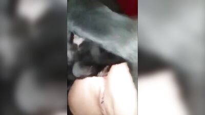 Woman tries anal with her dog
