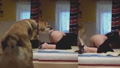 Wife dog sex