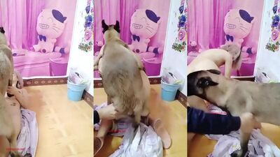 Pampered Pooch & Pervy Penetrations