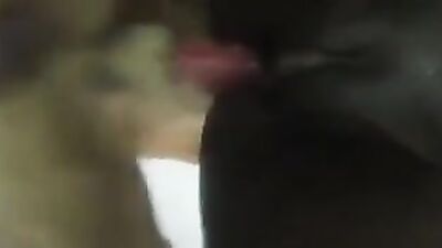 Wife fuck dog and husband