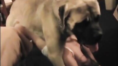 Wife geta fucked by dog