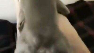 Young lick and doggy fuck
