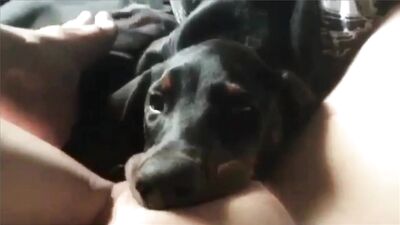 Woman gets eaten out by her dog
