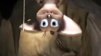 vvvr