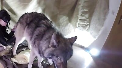 Vixen+wholf