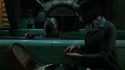 The Shape of Water