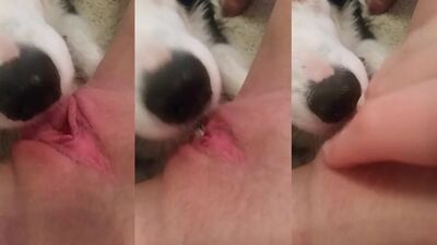 TEEN GIRL PISSES RIGHT IN DOGS FACE AS HE EATS HER PUSSY