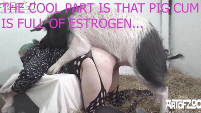 SpermWar Pigs
