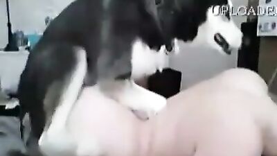 teen fuck with husky