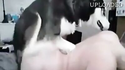teen fuck with husky