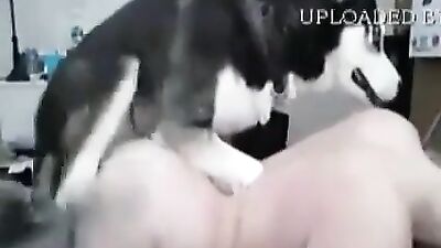 teen fuck with husky