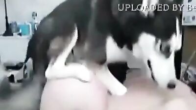 teen fuck with husky