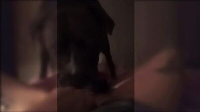 Slut films her dog licking her hole