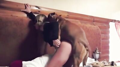 Sonya - King of the Cabin