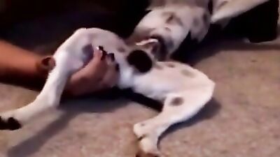 She loves to suck