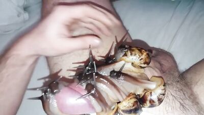 Snail shot