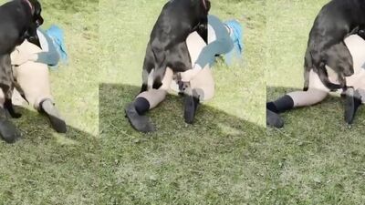 Sex in the garden at home