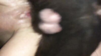 Silesto 4