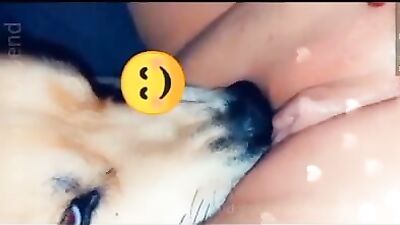 Snapchat dog blowjob