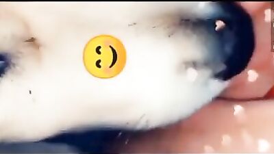 Snapchat dog blowjob