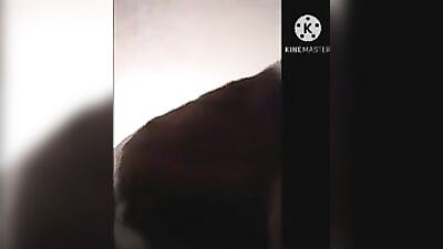Pitbull fucks wife